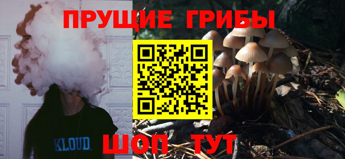 Псилоцибиновые грибы GOLDEN TEACHER  Вход с VPN  наркота  Новоуральск 