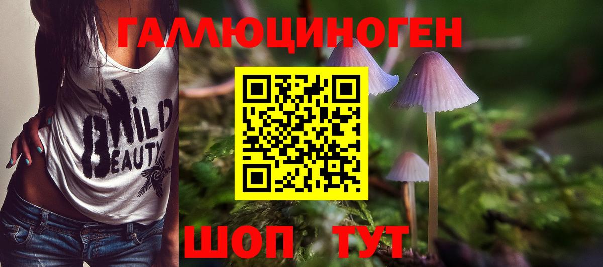 Псилоцибиновые грибы мицелий Новоуральск